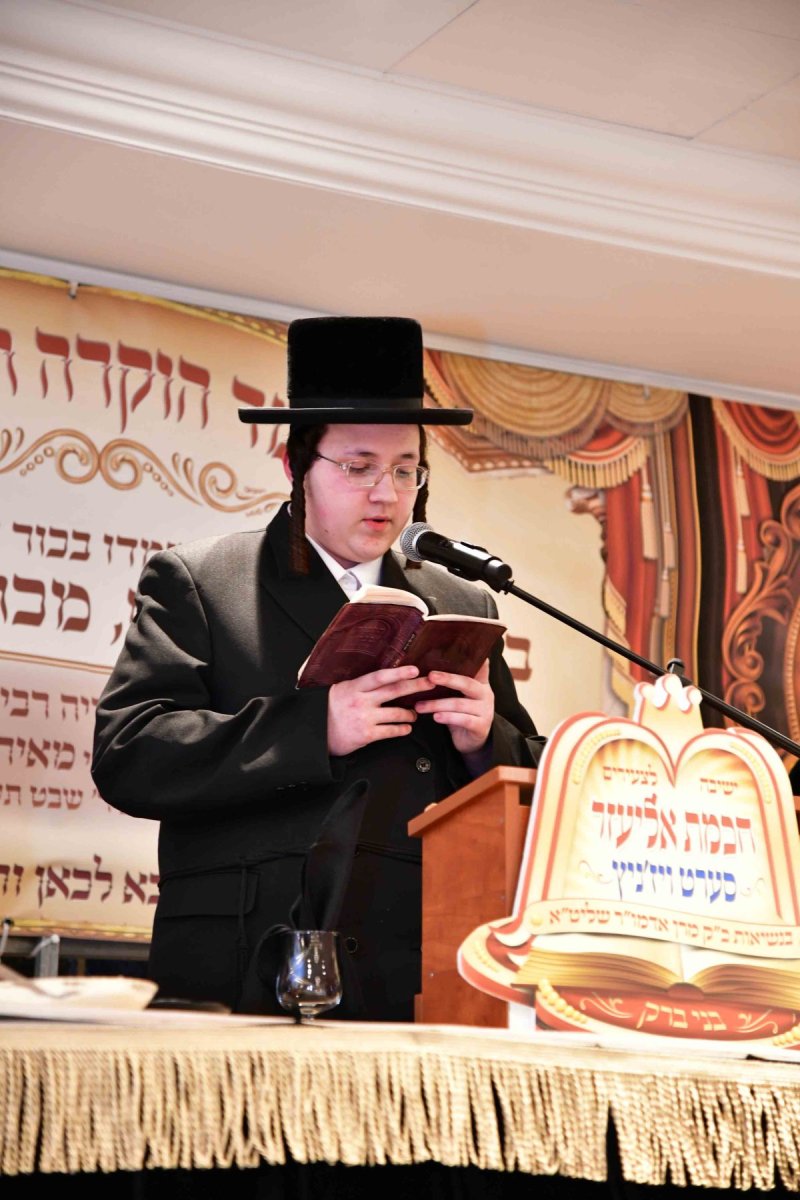 יוסי לוי