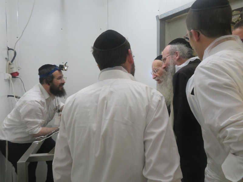 באדיבות המצלם