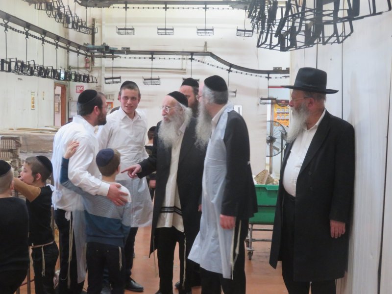 באדיבות המצלם