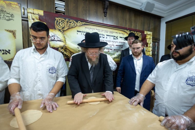 דניאל נפוסי