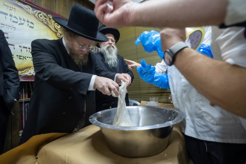 דניאל נפוסי