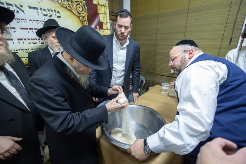 דניאל נפוסי