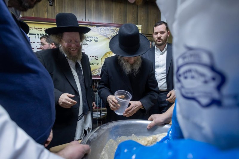 דניאל נפוסי