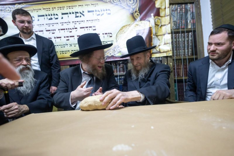 דניאל נפוסי