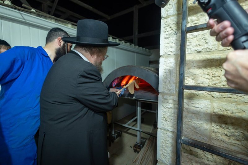 דניאל נפוסי