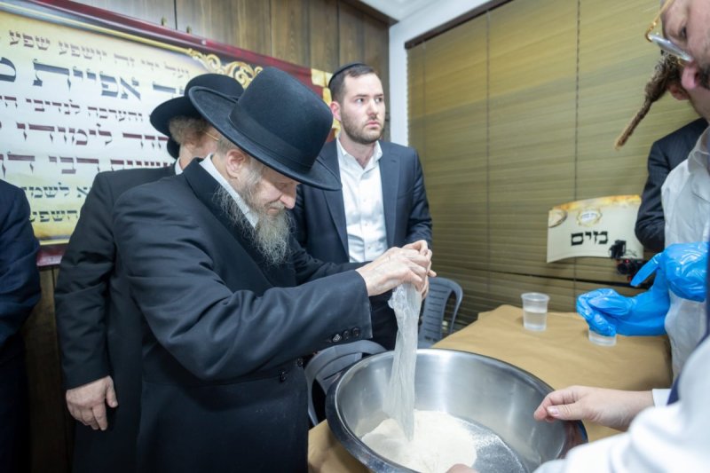 דניאל נפוסי