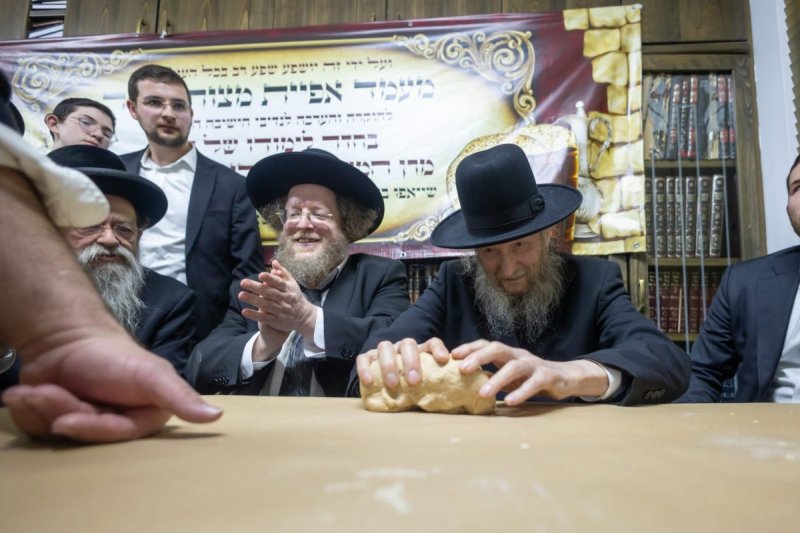 דניאל נפוסי