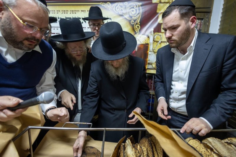 דניאל נפוסי
