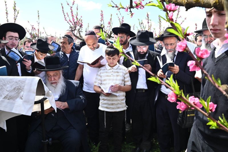 שוקי לרר
