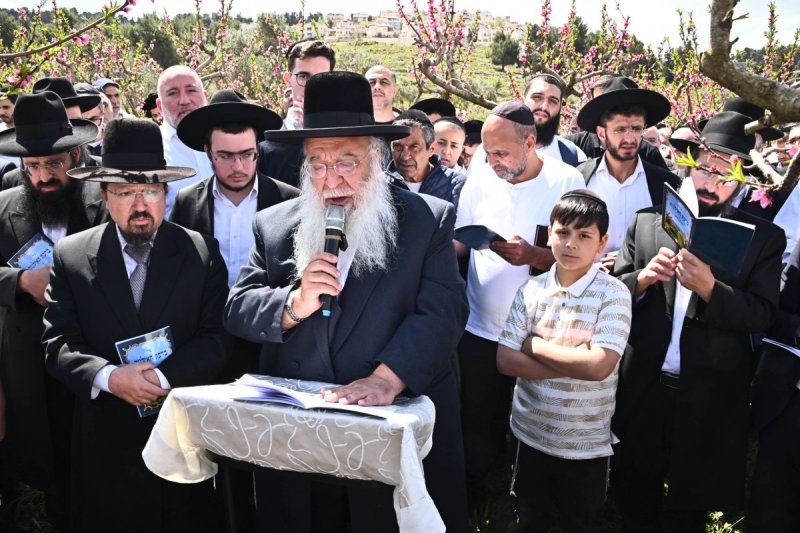שוקי לרר