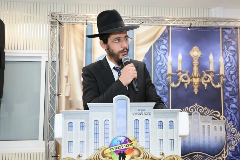 נועם אליהו