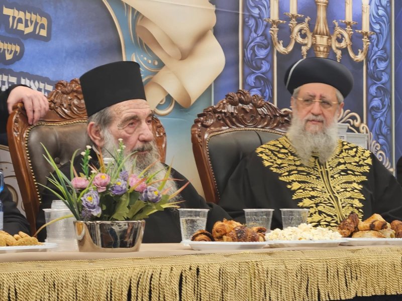 נועם אליהו