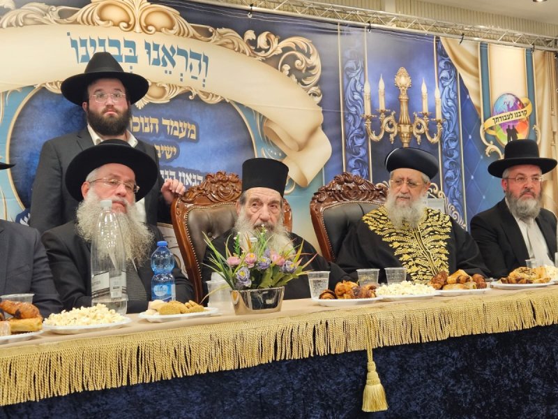 נועם אליהו