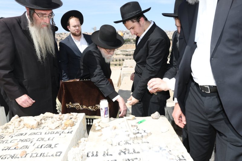 צבי בלום