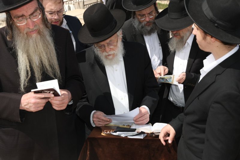 צבי בלום