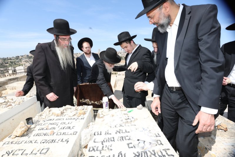 צבי בלום