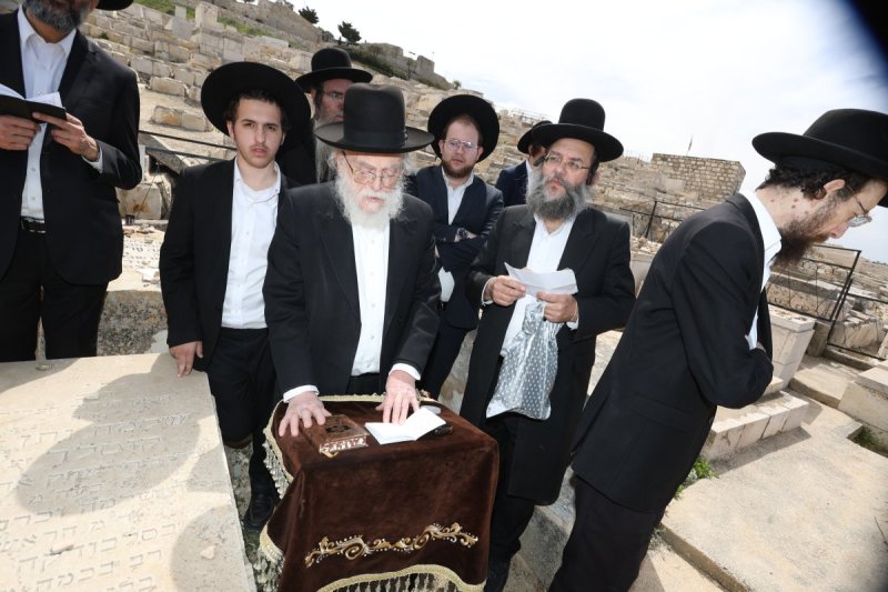 צבי בלום