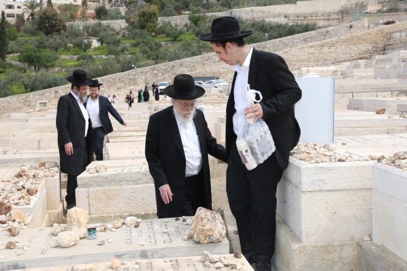 צבי בלום