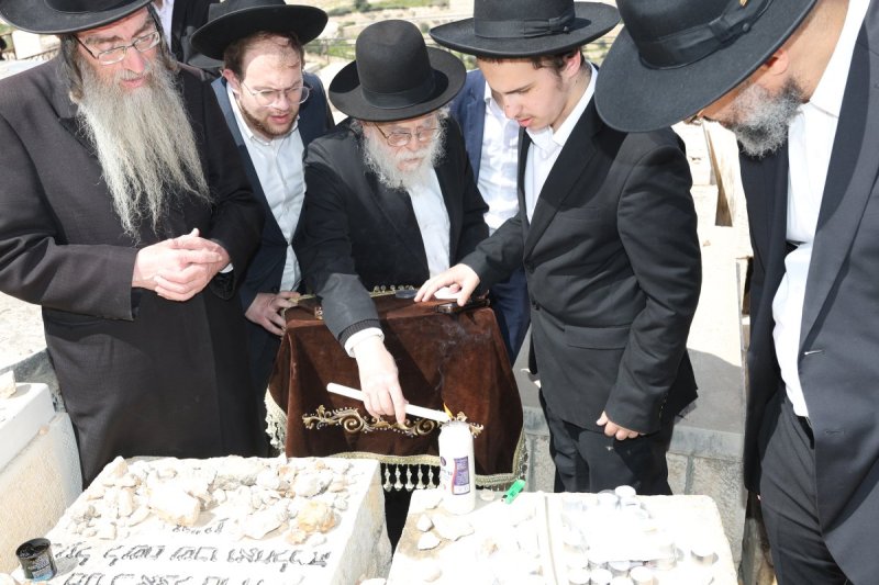 צבי בלום