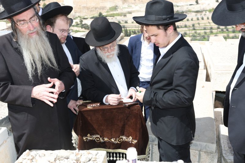 צבי בלום