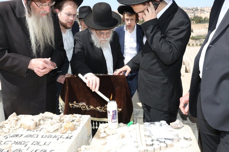 צבי בלום