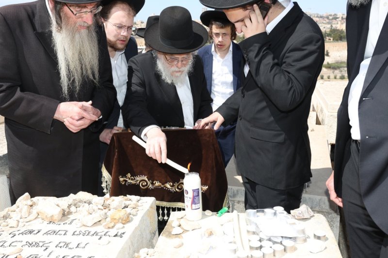 צבי בלום