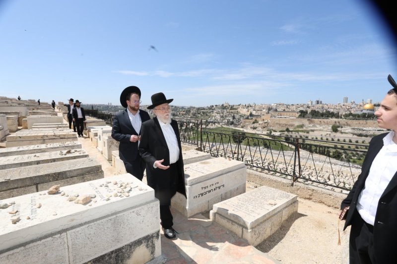 צבי בלום
