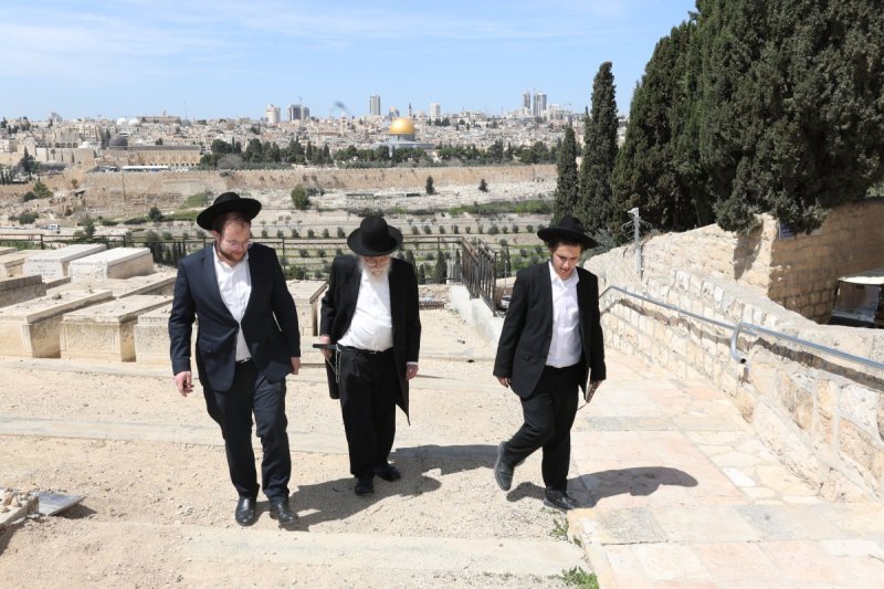 צבי בלום