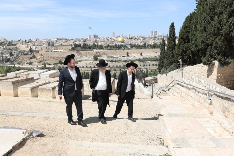 צבי בלום