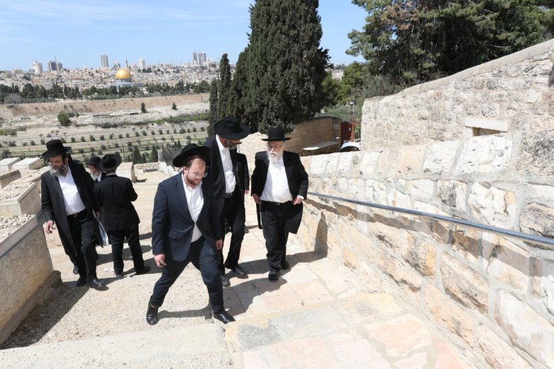 צבי בלום