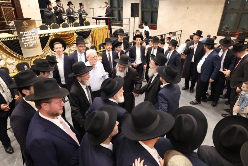 קובי הר צבי