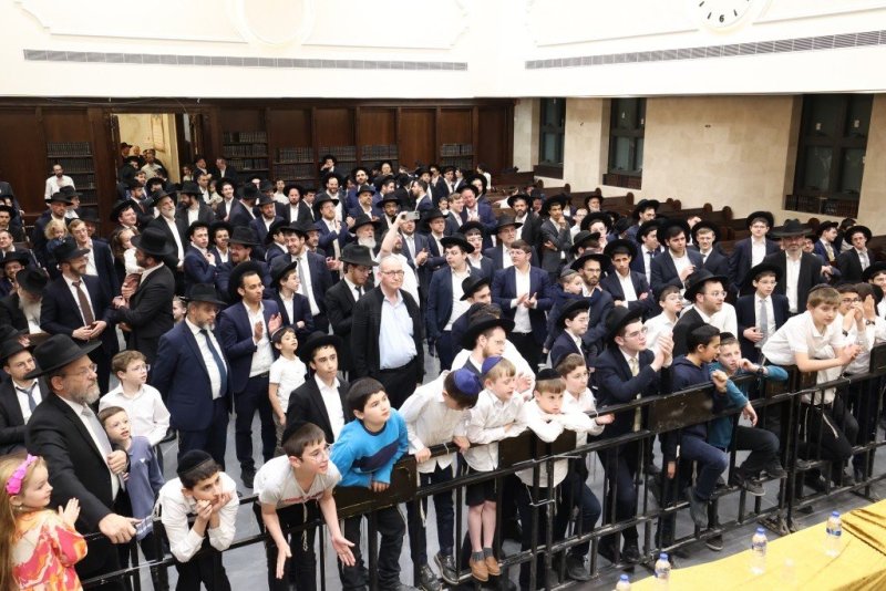 קובי הר צבי