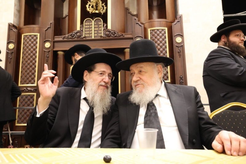 קובי הר צבי