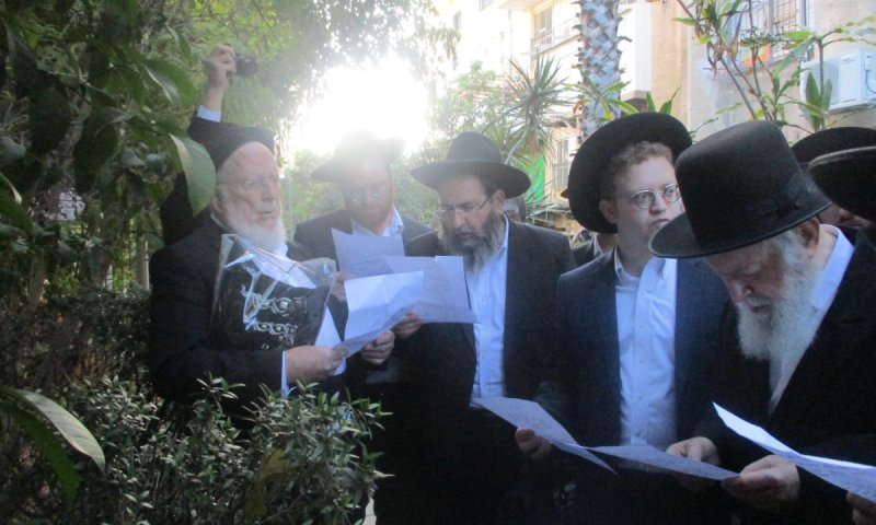 צפו בתיעוד: הגר"י זילברשטיין בירך את 'ברכת האילנות' ברוב עם