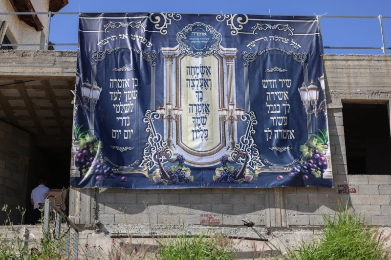 דוד כהן