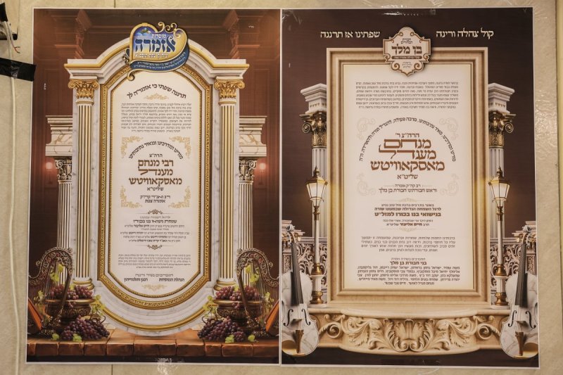 דוד כהן