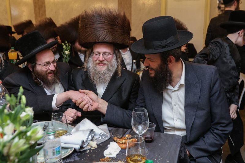 דוד כהן