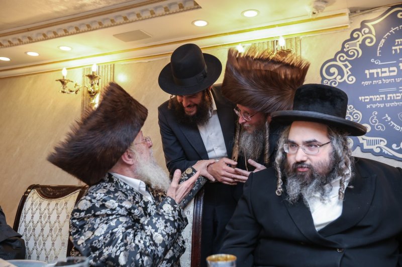 דוד כהן