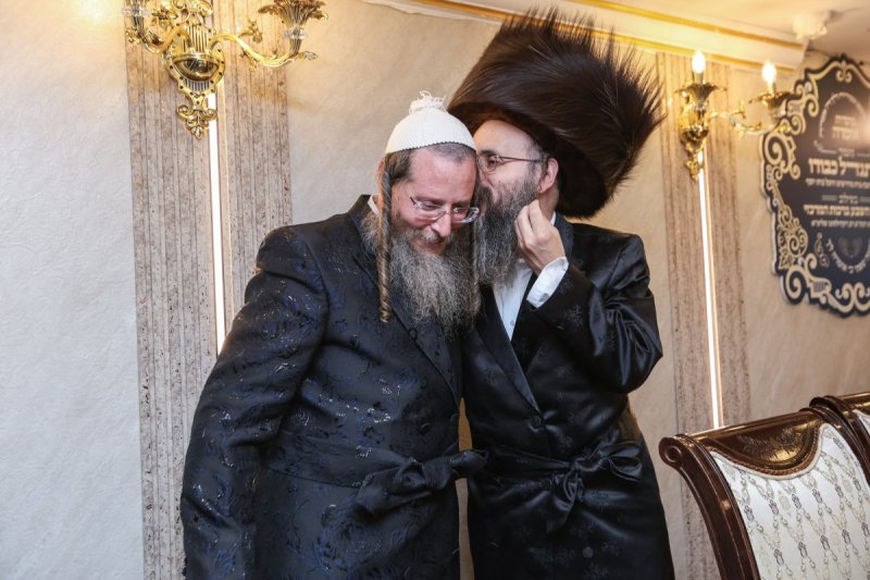 דוד כהן