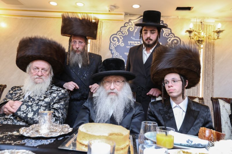 דוד כהן