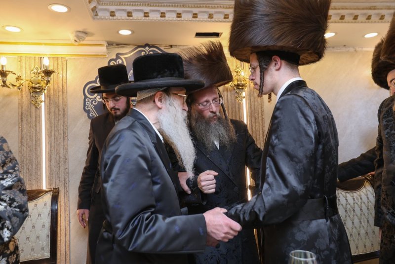 דוד כהן