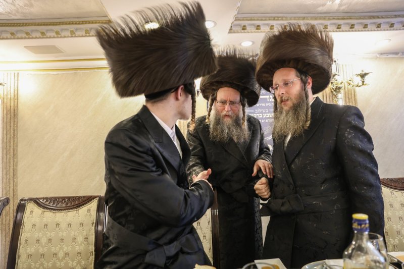 דוד כהן