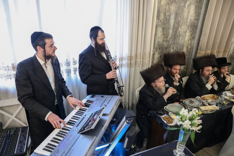 דוד כהן