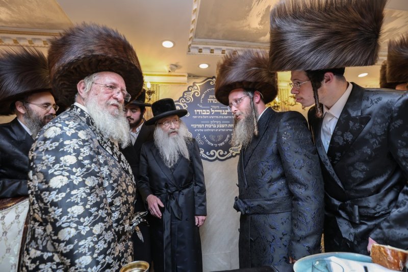 דוד כהן