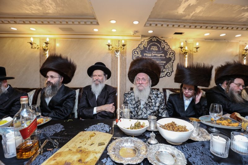 דוד כהן
