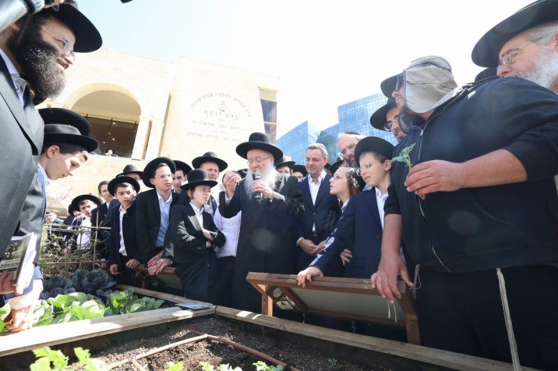 קובי הר צבי