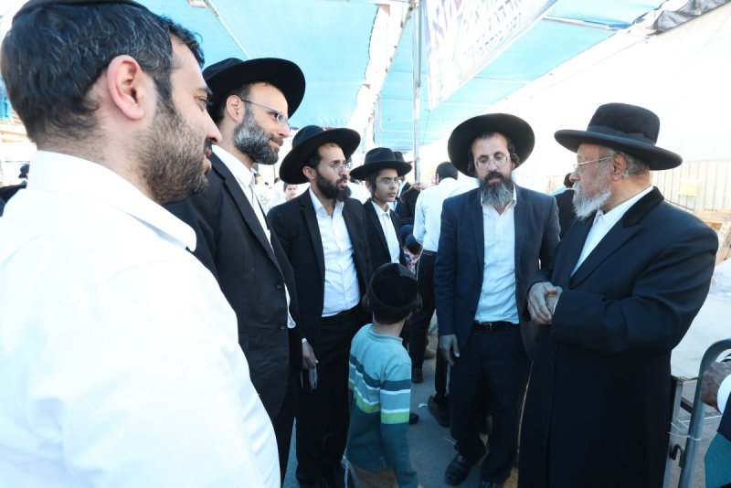 יעקב כהן