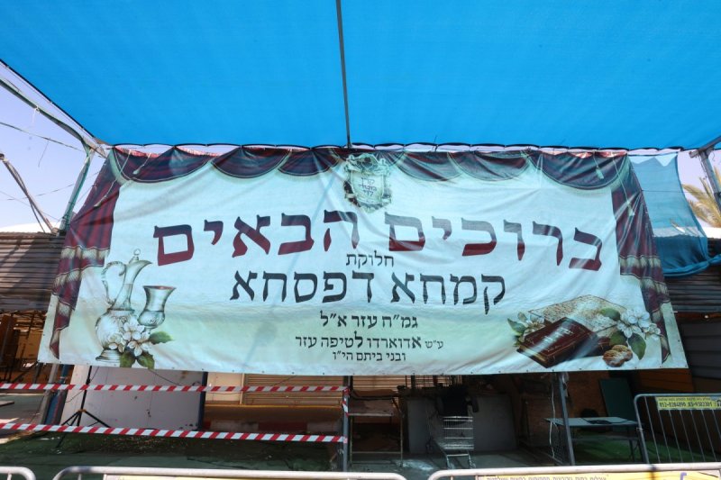 יעקב כהן