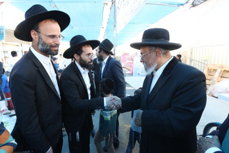 יעקב כהן