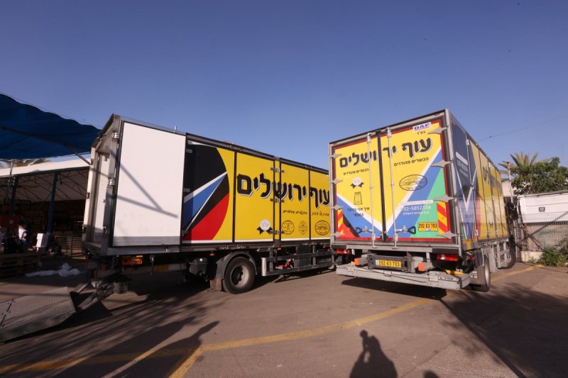 יעקב כהן